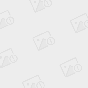 男子放100个粘鼠板铺满楼梯硬核灭鼠